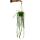 Plante dintérieur à suspendre - Hoya linearis - Fleur de cire 12cm feu tricolore