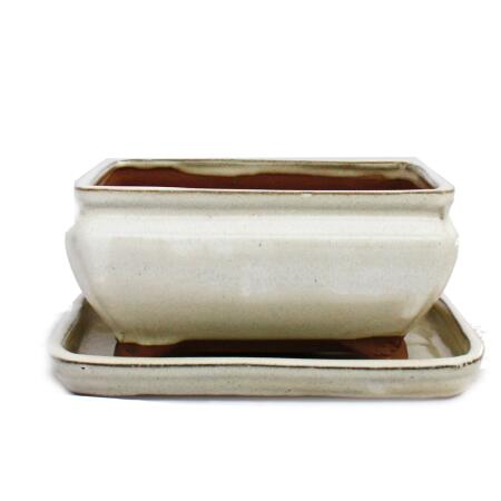 Bonsai cup and saucer Gr. 2 - light beige - square - model G81 - L 14,5cm - B 11,5cm - H 6,5cm