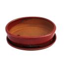 Bonsai cup and saucer Gr. 8 inch - red - oval - model O3...