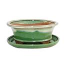 Bonsai cup and saucer Gr. 8 inch - green-beige - oval -...