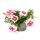 Verbena hanging - Verbena - 12cm pot - Set of 3 plants - pink