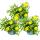 Goldtaler - Ducat Flower - Asteriscus maritimus - pot de 11 cm - Set de 3 plantes