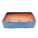 Bonsai pot XL - rectangular G30 - blue - L36.5cm x W28cm...