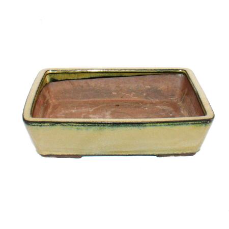 Bonsai pot - rectangular G30 - olive-brown - L31cm x W23cm x H8cm