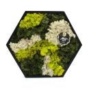 Moss picture - mural with real preserved moss in a wooden frame - natural wall decoration - hexagonal - 38cm