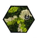 Moss picture - mural with real preserved moss in a wooden frame - natural wall decoration - hexagonal - 38cm