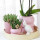 Ensemble complet de plantes optimisme - rose | Plantes vertes avec orchidée phalaenopsis rose, y compris pots décoratifs en céramique et accessoires