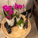 Kolibri Company - Set aus lila Orchidee und Succulent auf...