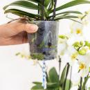 Orchidées Colibri | ensemble dorchidées blanches dans un panier en coton avec réservoir deau | trois orchidées blanches courbées Niagara Fall 12cm | Mono Bouquet blanc gîte