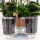 Hummingbird Orchids | white plant set in a reed basket incl. water tank | three white orchids and three green plants Rhipsalis | Field bouquet white with self-sufficient water tank