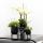 Ensemble de plantes complet Home Hub | Plantes vertes avec orchidée phalaenopsis blanche, y compris pots décoratifs en céramique noire et accessoires
