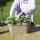 Campanule Addenda - jacinthe des bois blanche - jardinière de balcon grise avec 3 Campanules en pot de 12cm - vivace rustique