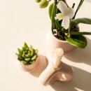 Kolibri Orchids - Pflanzenset Ring - Set mit weißer...