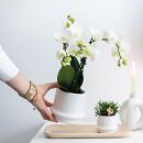 Kolibri Company - Set de plantes Ring blanc - Set avec orchidée Phalaenopsis blanche Amabilis 9cm et plante verte Rhipsalis 6cm et assiette en bambou ovale - pots décoratifs blancs en céramique inclus