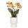 Planter "Diabolo" - classic shape - delicate pastel colors - travertine-cream - suitable for 12cm pots