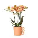 Happy Mug" - happy coffee mug - cheerful ceramic suitable for 9cm pots - orange