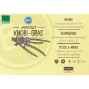 Knobi-Gras in BIO-Qualität - Thulbaghia violacea -...
