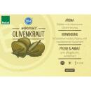 Olive herb in organic quality - Santolina viridis - herb...