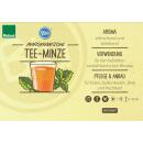 Moroccan tea mint in organic quality - Mentha spicata -...