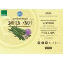 Garden garlic in organic quality - Allium Hybride - herb...