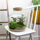 Flaschengarten "Fat Joe" - DIY-Pflanzenterrarium - 30 cm hoch