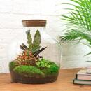 Flaschengarten "Fat Joe" - ROT - DIY-Pflanzenterrarium - 30cm hoch