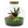 Flaschengarten "Fat Joe" - ROT - DIY-Pflanzenterrarium - 30cm hoch