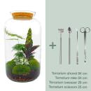 Bottle garden "Botanical Sven xl" - DIY plant terrarium - 43 cm high