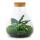 Jardin en bouteille "Sammie" - Terrarium pour plantes DIY - hauteur 27 cm