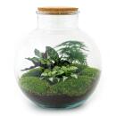 Bottle garden "Bolder Bob" - DIY plant...