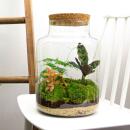 Jardin en bouteille "Milky" - Terrarium pour plantes DIY - hauteur 30 cm