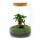 Jardin en bouteille "Milky" - Terrarium pour plantes DIY - hauteur 30 cm