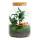 Jardin en bouteille "Milky" - Terrarium pour plantes DIY - hauteur 30 cm