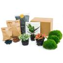 Green Your Bottle - Kit complet pour ton propre jardin de...