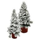 Kerosene tree - Christmas tree with snow - Christmas...