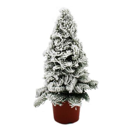 Sapin de paraffine - Sapin avec neige - Décoration de Noël - Arrangement de sapin avec cire - pour lextérieur - hauteur 40cm