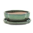 Bonsai cup and saucer Gr. 3 - olive brown - haitang/oval...